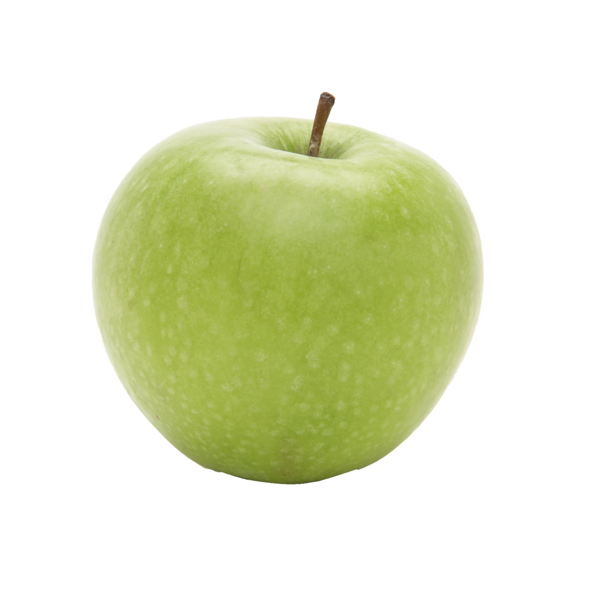 מור טסטים